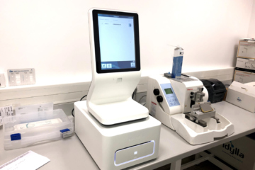 Génétique Somatique